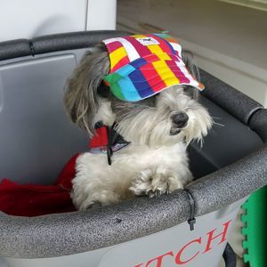 Meet your Posher, Nancy